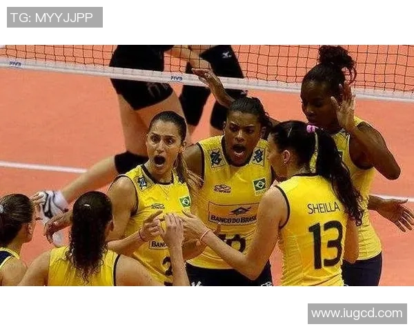 西安排球队节奏引发热议球迷对战术选择的不同看法 西安排球队节奏引发热议球迷对战术选择的不同看法