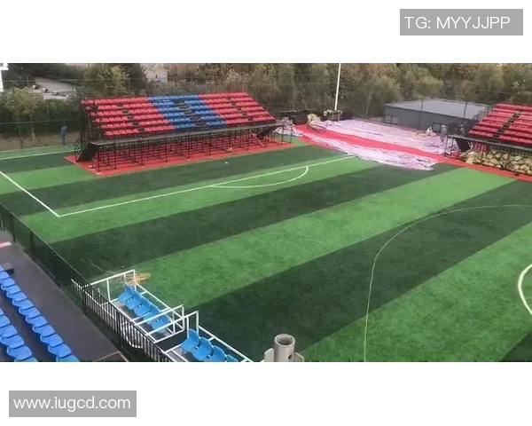 南京足球队在奥运会前的蜕变与新生之路探索