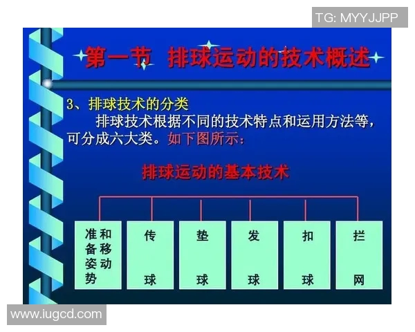南京排球队意识对比深度剖析与战术执行的影响探讨 南京排球队意识对比深度剖析与战术执行的影响探讨