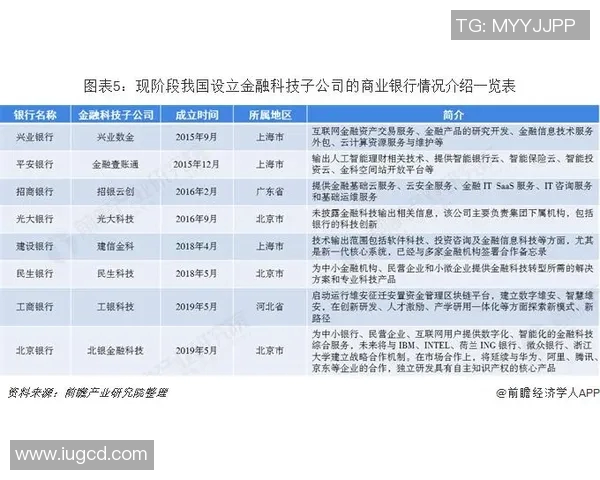 南京足球队运营策略深度分析与市场发展前景探讨