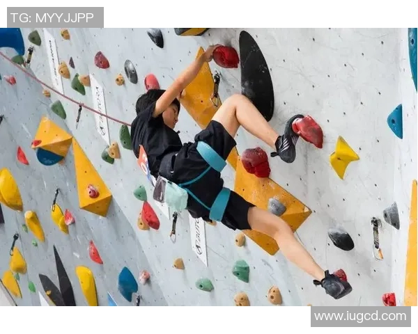 攀岩精神与团队协作：上海攀岩队的成功之道与经验分享