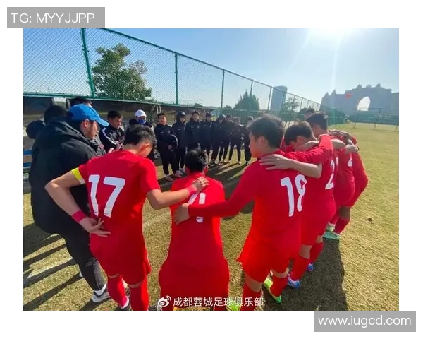 成都排球队战术解析：如何实现比赛中的有效控制与团队协作