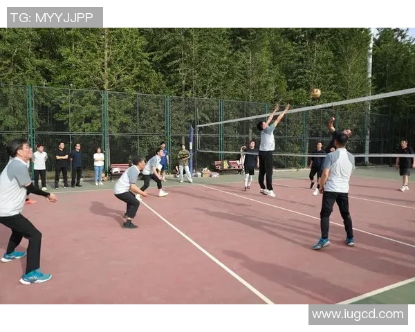 排球灵活性评比出炉深圳排球队荣获第二名佳绩