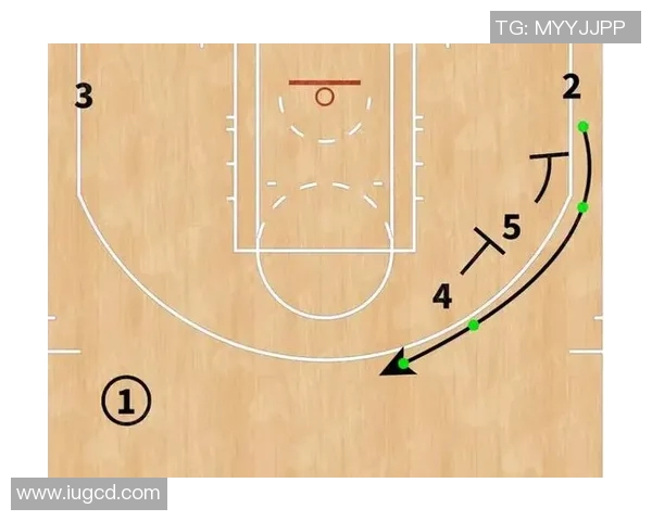深入分析杭州篮球队阵地战战术特点与执行策略