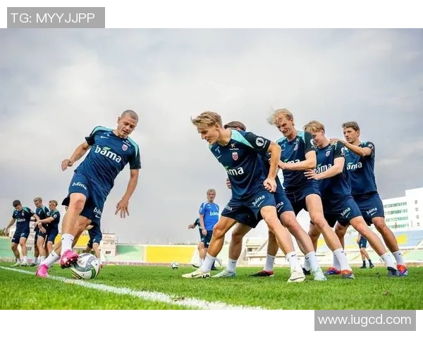 摩尔多瓦与爱尔兰激情对决谁将赢得这场足球盛宴