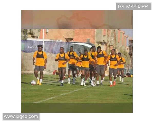 科特迪瓦与中国竞彩对决分析及赛事预测全解析