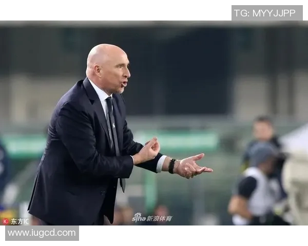 维罗纳与切沃实力对比分析谁更具竞争优势