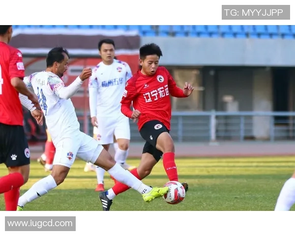 辽宁宏运与梅州客家激战正酣谁能在这场较量中笑到最后