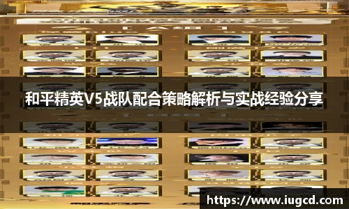 和平精英V5战队配合策略解析与实战经验分享