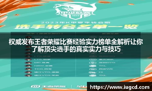 权威发布王者荣耀比赛经验实力榜单全解析让你了解顶尖选手的真实实力与技巧