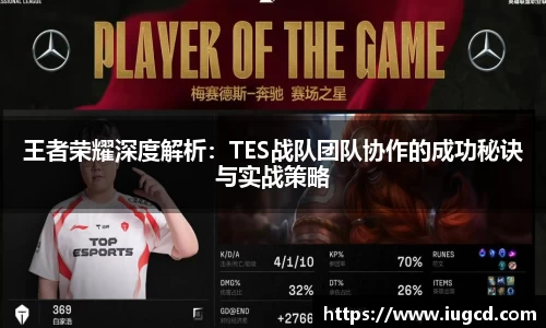 王者荣耀深度解析:TES战队团队协作的成功秘诀与实战策略