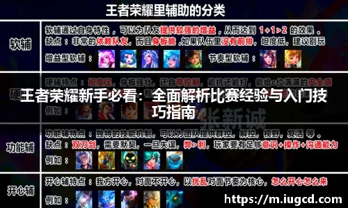 王者荣耀新手必看:全面解析比赛经验与入门技巧指南