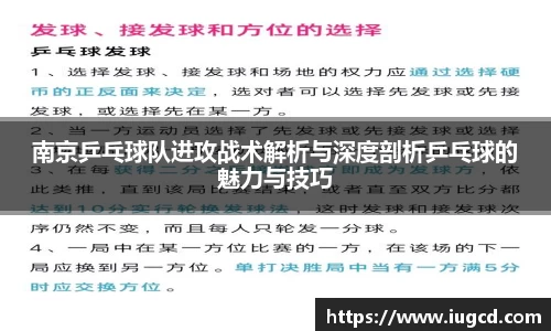 南京乒乓球队进攻战术解析与深度剖析乒乓球的魅力与技巧