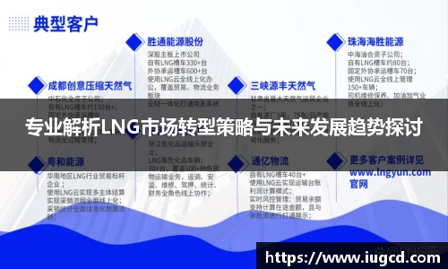 专业解析LNG市场转型策略与未来发展趋势探讨