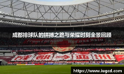 成都排球队的拼搏之路与荣耀时刻全景回顾